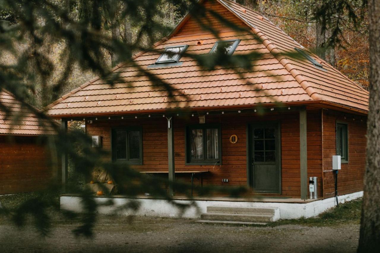 Tusnad Camping BaileTusnad Dış mekan fotoğraf