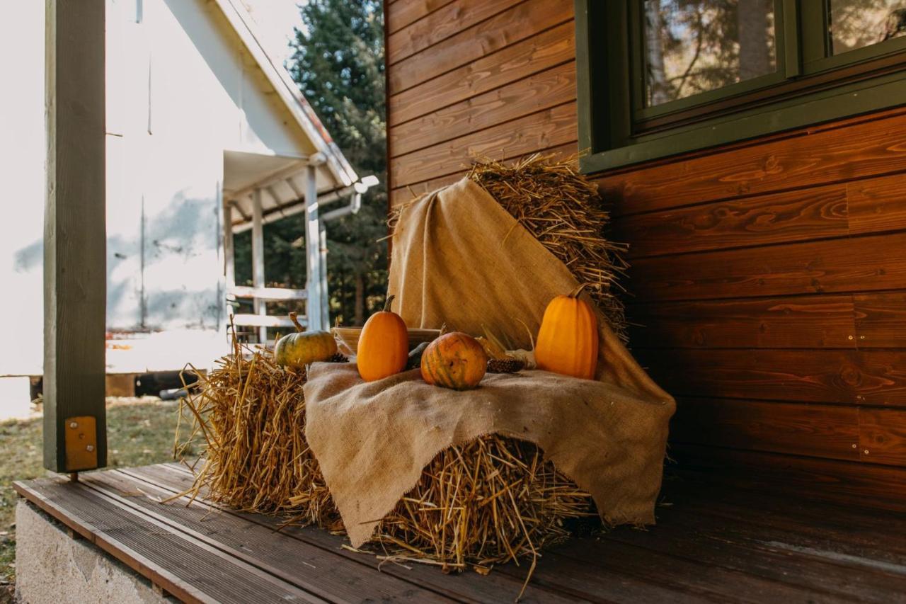 Tusnad Camping BaileTusnad Dış mekan fotoğraf