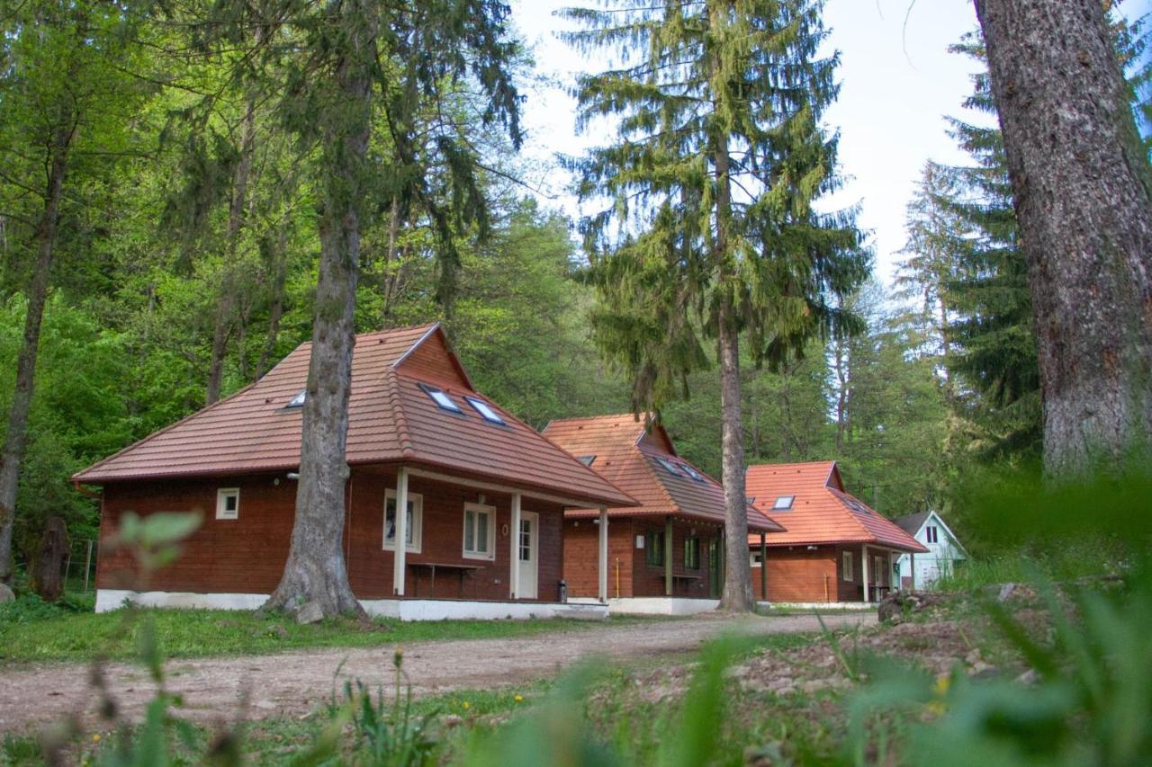 Tusnad Camping BaileTusnad Dış mekan fotoğraf